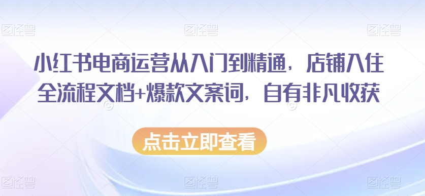 小红书电商运营从入门到精通，店铺入住全流程文档+爆款文案词，自有非凡收获-观智斋电商课程站