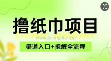 低价撸纸0元免单_项目拆解全流程+渠道入口-观智斋电商课程站