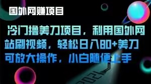 冷门撸美刀项目，利用国外网站刷视频，轻松日入80+美刀，可放大操作，小白随便上手-观智斋电商课程站