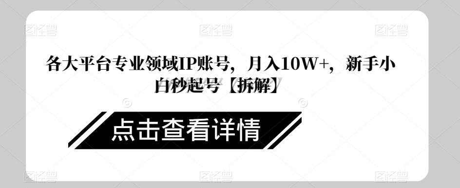 各大平台专业领域IP账号，月入10W+，新手小白秒起号【拆解】-观智斋电商课程站