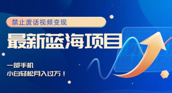 最新蓝海项目，靠禁止废话视频变现，一部手机，小白轻松月入过万！-观智斋电商课程站