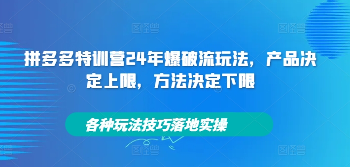 拼多多特训营24年爆破流玩法，产品决定上限，方法决定下限，各种玩法技巧落地实操-观智斋电商课程站