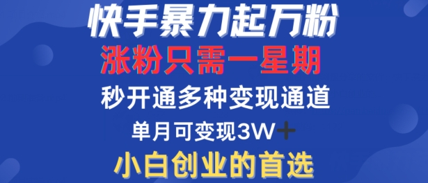 快手暴力起万粉，涨粉只需一星期，多种变现模式，直接秒开万合，单月变现过W【揭秘】-观智斋电商课程站