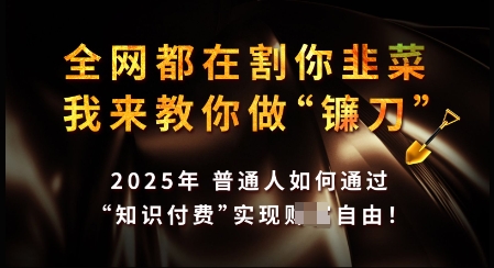 知识付费如何做到月入过W+，2025我来教你做“镰刀”【揭秘】-观智斋电商课程站