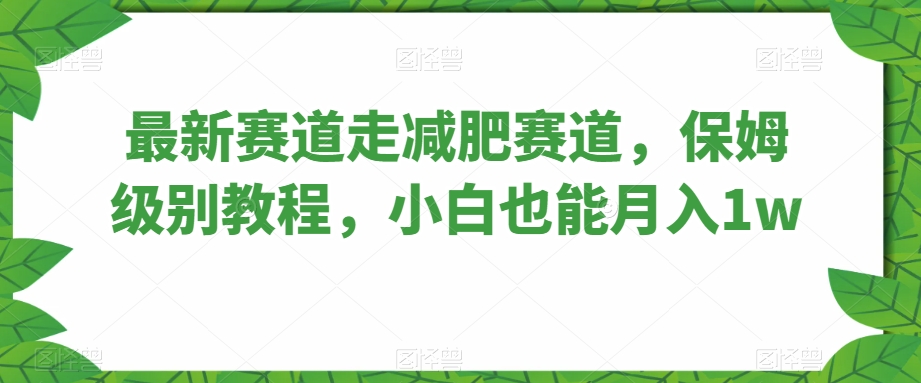 最新赛道走减肥赛道，保姆级别教程，小白也能月入1w-观智斋电商课程站