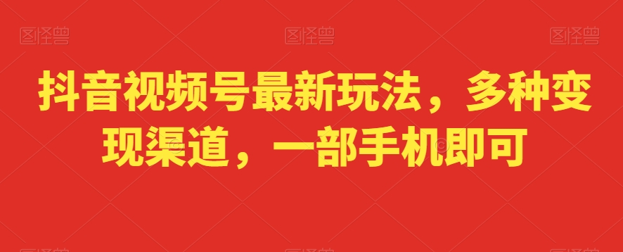 抖音视频号最新玩法，多种变现渠道，一部手机即可-观智斋电商课程站