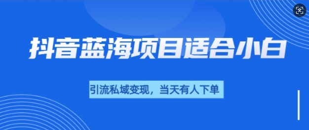 抖音蓝海小赛道私域变现项目，单价9.9单天变现100+，实操玩法分享给你-观智斋电商课程站