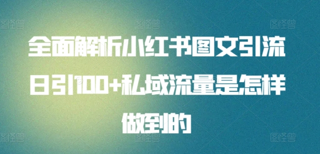 全面解析小红书图文引流日引100+私域流量是怎样做到的【揭秘】-观智斋电商课程站