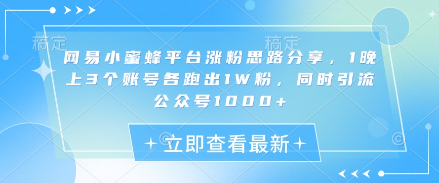 网易小蜜蜂平台涨粉思路分享，1晚上3个账号各跑出1W粉，同时引流公众号1000+-观智斋电商课程站