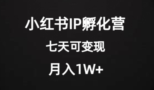 价值2000+的小红书IP孵化营项目，超级大蓝海，七天即可开始变现，稳定月入1W+-观智斋电商课程站