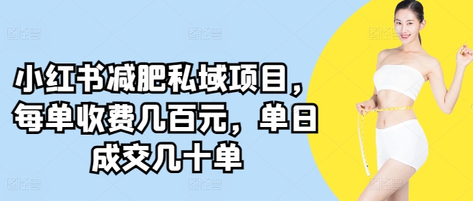 小红书减肥私域项目，每单收费几百元，单日成交几十单-观智斋电商课程站