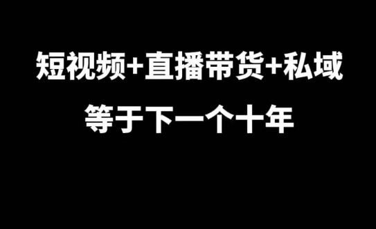 短视频+直播带货+私域等于下一个十年，大佬7年实战经验总结-观智斋电商课程站