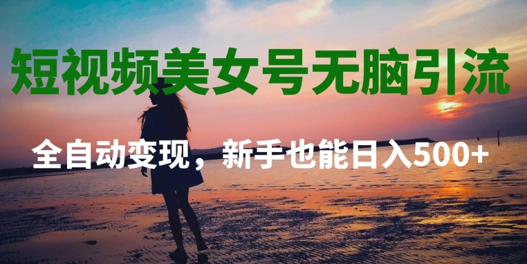 短视频美女号无脑引流，全自动变现，新手也能日入500+-观智斋电商课程站