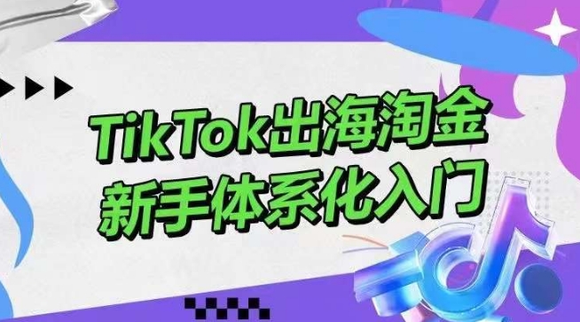 TikTok出海淘金，新手体系化入门，零基础快速入门，掌握短视频、直播带货等引流到变现的知识-观智斋电商课程站