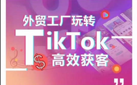 外贸工厂玩转TikTok高效获客，多种引流方式与账号定位技巧，拆解爆款短视频打造成功案例-观智斋电商课程站
