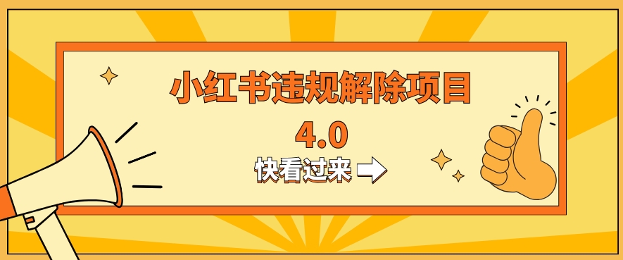 小红书违规掘金蓝海项目，日入800+（附带引流办法及解除办法）-观智斋电商课程站