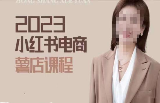 2023小红书电商课，新手小白从0~1玩转小红书薯店电商-观智斋电商课程站