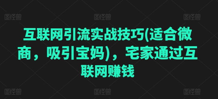 互联网引流实战技巧(适合微商，吸引宝妈)，宅家通过互联网创钱-观智斋电商课程站