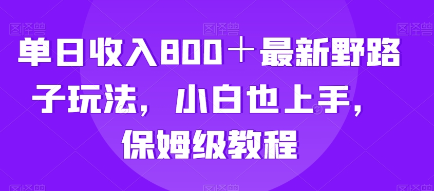 单日收入800＋最新野路子玩法，小白也上手，保姆级教程-观智斋电商课程站