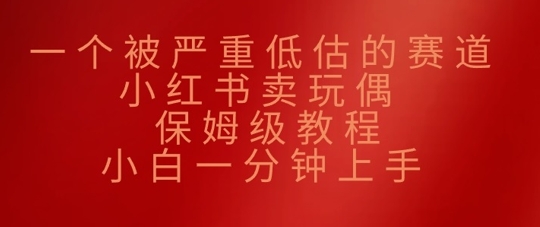 一个被严重低估的赛道，小红书卖玩偶，保姆级教程，小白一分钟上手-观智斋电商课程站