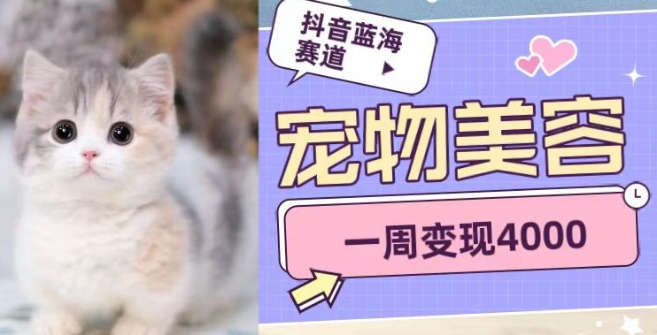 抖音蓝海赛道，宠物美容，一周变现4000-观智斋电商课程站
