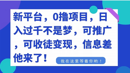 不要再花冤枉钱了，0撸项目，每天坚持，稳定1000+-观智斋电商课程站