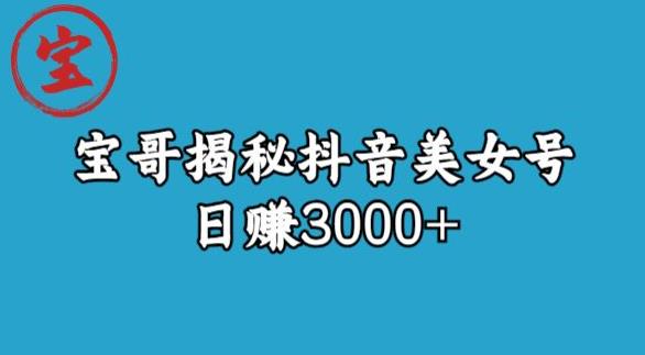 宝哥揭秘抖音美女号玩法，日赚3000+【揭秘】-观智斋电商课程站