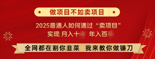 必看，做项目不如卖项目，2025普通人如何通过“卖项目”实现月入十个，年入百个-观智斋电商课程站