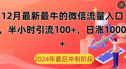 12月最新最牛的微信流量入口，半小时引流100+创业粉，日涨粉1000+-观智斋电商课程站
