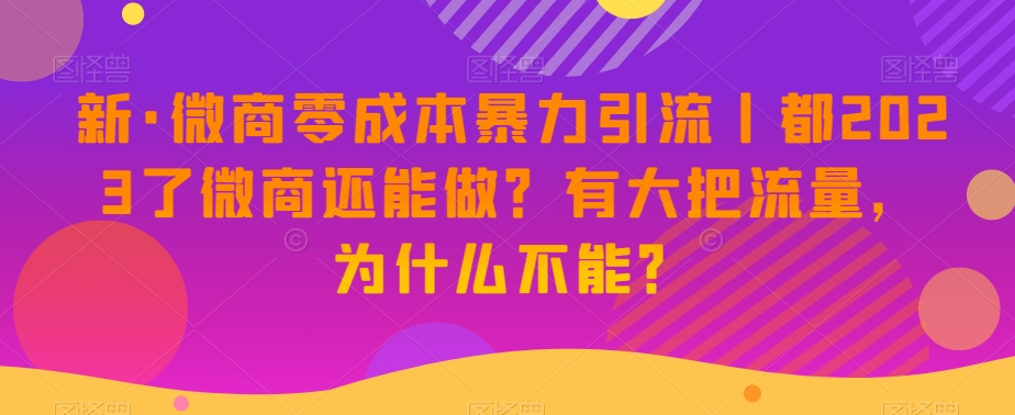 新·微商零成本暴力引流丨都2023了微商还能做？有大把流量，为什么不能？-观智斋电商课程站