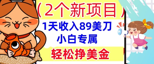 2个新项目，轻松挣美金， 1天收入89美刀，小白专属，干货分享-观智斋电商课程站