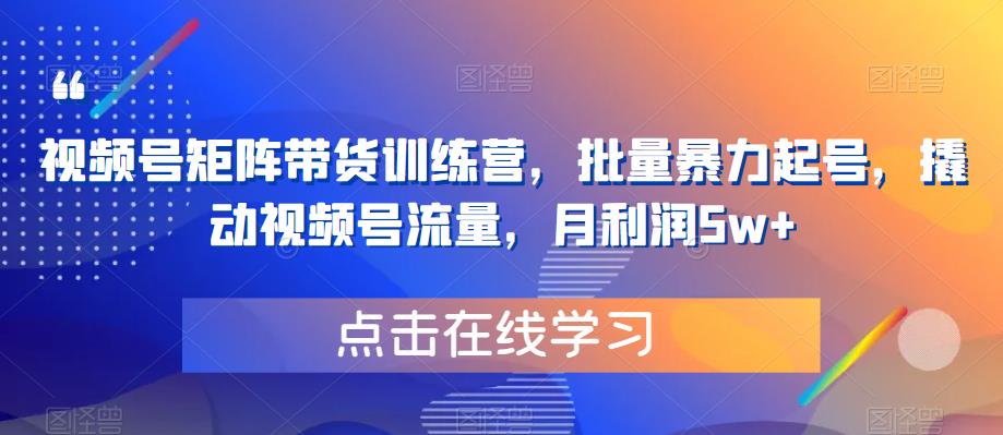 视频号矩阵带货训练营，批量暴力起号，撬动视频号流量，月利润5w+-观智斋电商课程站