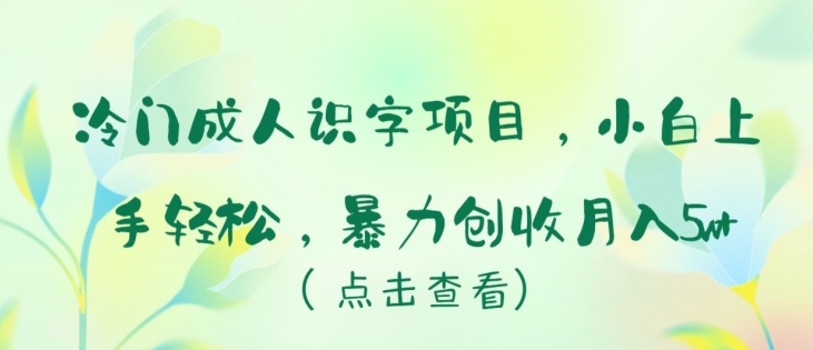 冷门成人识字项目，小白上手轻松，暴力创收月入5w+【揭秘】-观智斋电商课程站