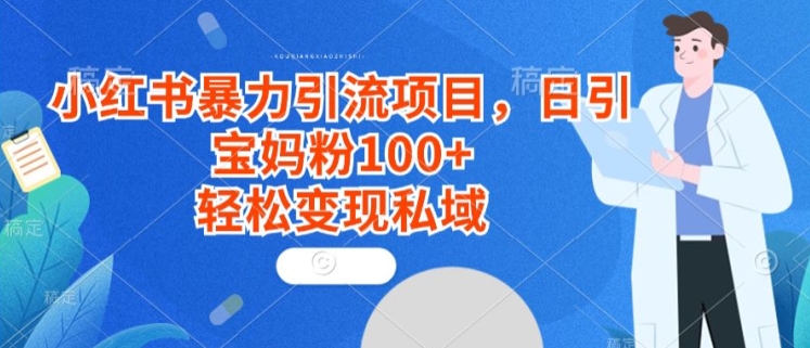 小红书暴力引流项目，日引宝妈粉100+，轻松变现私域-观智斋电商课程站