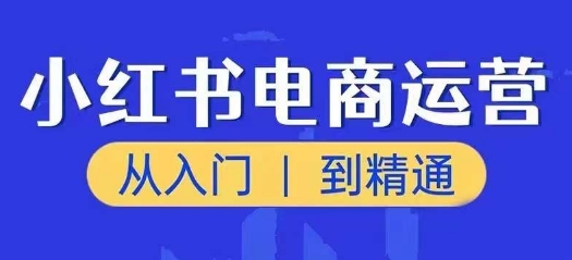 小红书电商运营课，从入门到精通，带你抓住又一个赚钱风口-观智斋电商课程站