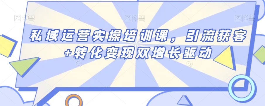 私域运营实操培训课，引流获客+转化变现双增长驱动-观智斋电商课程站