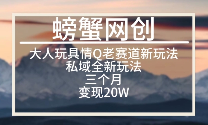 大人玩具情Q用品赛道私域全新玩法，三个月变现20W，成人用品老项目新思路【揭秘】-观智斋电商课程站