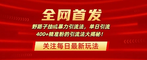 全网首发，野路子暴力引流法，单日引流400+精准粉的引流法大揭秘-观智斋电商课程站