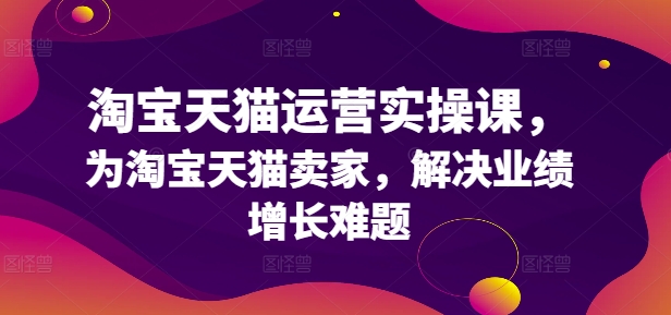 淘宝天猫运营实操课，为淘宝天猫卖家，解决业绩增长难题-观智斋电商课程站