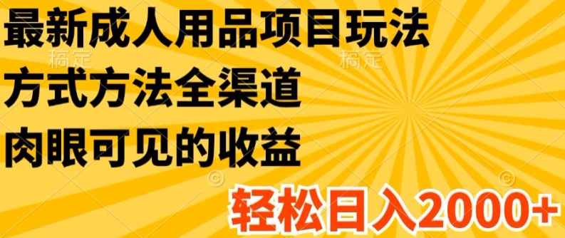 最新成人用品项目玩法，方式方法全渠道，轻松日入2K+【揭秘】-观智斋电商课程站