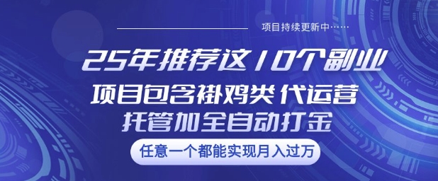2025年推荐这10个副业项目包含褂鸡类、代运营托管类、全自动打金类【揭秘】-观智斋电商课程站