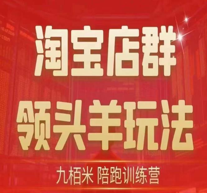 九栢米-淘宝店群领头羊玩法，教你整个淘宝店群领头羊玩法以及精细化/终极蓝海/尾销等内容-观智斋电商课程站