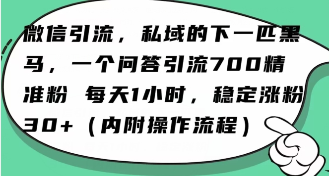 怎么搞精准创业粉？微信新赛道，每天一小时，利用Ai一个问答日引100精准粉-观智斋电商课程站
