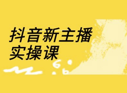 抖音新主播实操课，直播间流量运营线上实操课(18节)-观智斋电商课程站