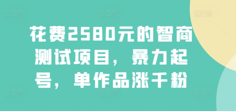 花费2580元的智商测试项目，暴力起号，单作品涨千粉-观智斋电商课程站