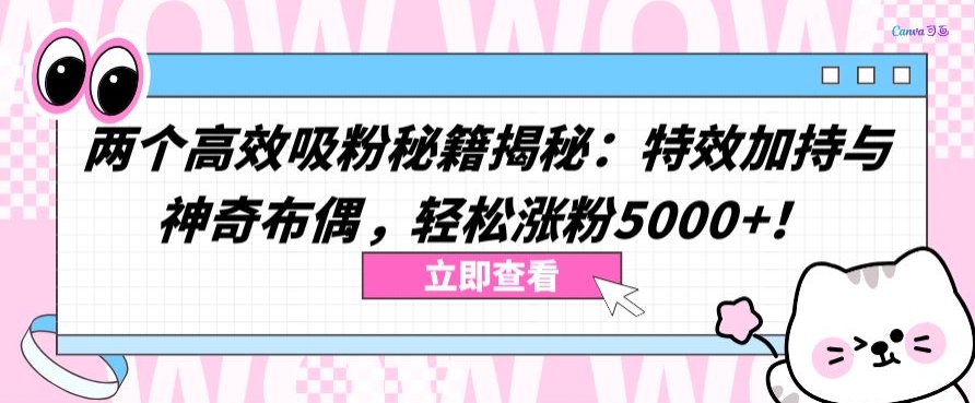 两个高效吸粉秘籍揭秘：特效加持与神奇布偶，轻松涨粉5000+【揭秘】-观智斋电商课程站
