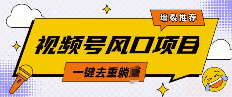 视频号风口蓝海项目，中老年人的流量密码，简单无脑，一键去重，轻松月入过W-观智斋电商课程站