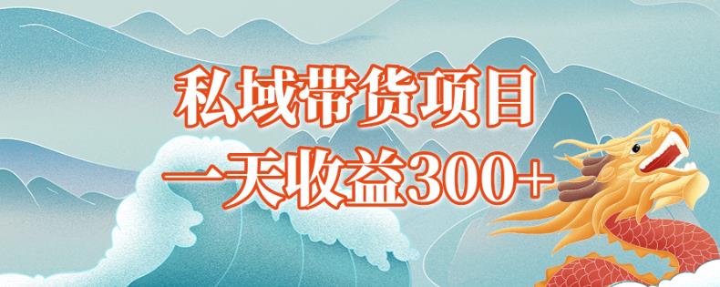 独孤私域带货蓝海项目，一天收益300+-观智斋电商课程站