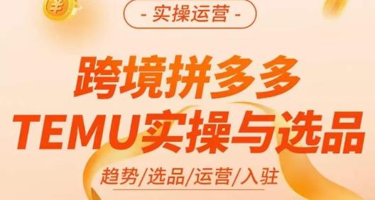 伍跃·跨境拼多多TEMU实操与选品，​趋势/选品/运营/入住（27节完整）-观智斋电商课程站