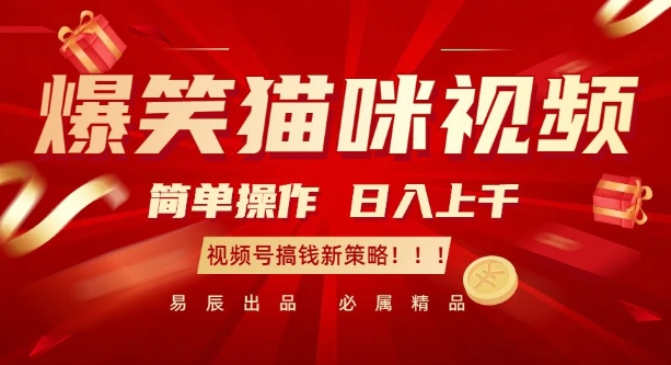 爆笑猫咪视频：简单操作，日入过K，视频号搞钱新策略【揭秘】-观智斋电商课程站